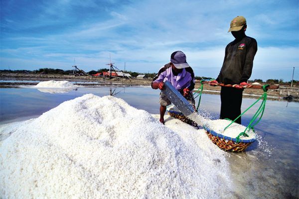 Garam di Negara Maritim Tak Lagi Asin